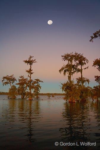 Moon Over Lake Martin_25532.jpg - First light at Cypress Island PreservePhotographed near Breaux Bridge, Louisiana, USA.